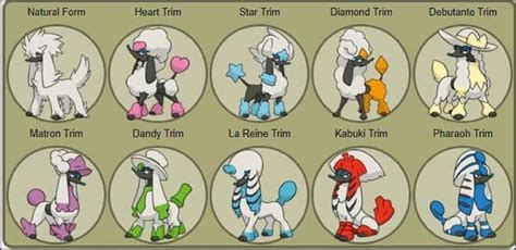 change form furfrou|All Furfrou Trim forms and how to get them in .